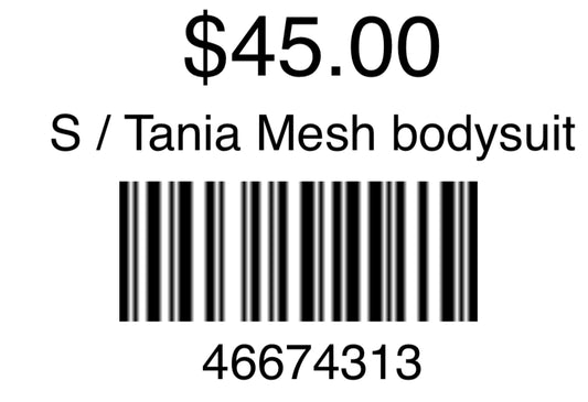 Tania Mesh bodysuit